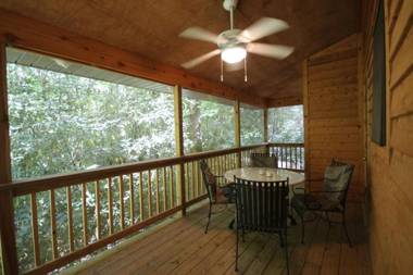 White Squirrel`s Nest