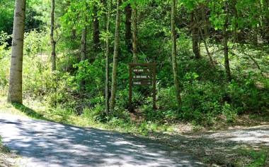The Hive Lodge-with views of the Smokies