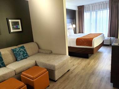 Comfort Suites Northlake