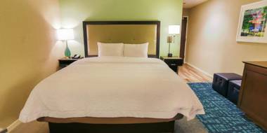 Hampton Inn & Suites Charlotte/Ballantyne Nc