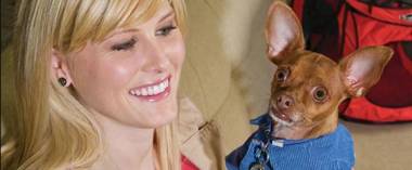 Home2 Suites By Hilton Charlotte Uptown