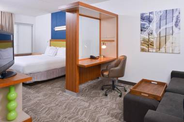 SpringHill Suites Durham Chapel Hill