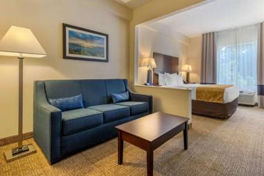 Comfort Suites Gastonia - Charlotte