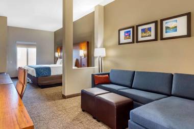 Comfort Suites Greensboro-High Point