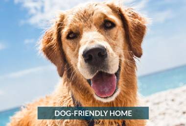 SCR1B - Dutch`s Place