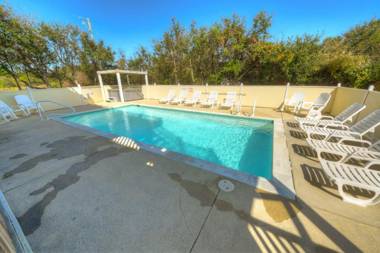 3068 - Carolina Sunshine