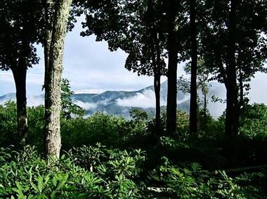 Mountain Getaway on 12 Acres with Sunroom and Views!