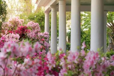 White Doe Inn Bed & Breakfast