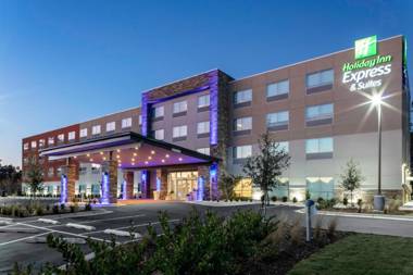 Holiday Inn Express & Suites - Wilmington West - Medical Park an IHG Hotel