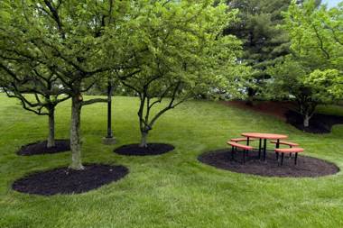 Red Roof Inn Cincinnati Northeast - Blue Ash