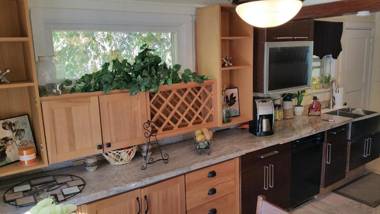 Modern❤️Smart Jetted Tub HDTV AC Wifi King Keurig