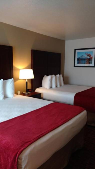 Best Western Pony Soldier