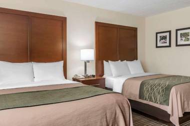 Comfort Inn - Pocono Mountains