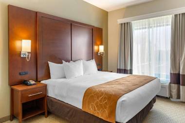 Comfort Suites Amish Country