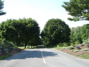 Circle M Camping Resort Loft Park Model 18