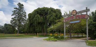 Circle M Camping Resort Screened Park Model 27