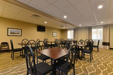 Comfort Inn and Suites Manheim