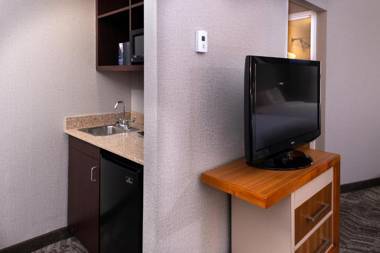 SpringHill Suites by Marriott Pittsburgh North Shore