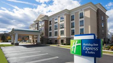Holiday Inn Express and Suites - Stroudsburg an IHG Hotel