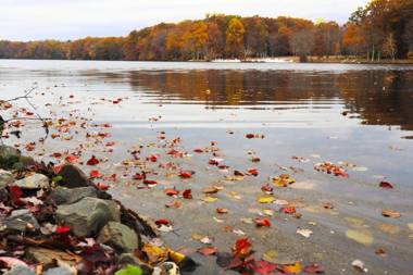 Mountain Springs Lake Resort