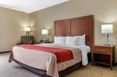 Comfort Inn Blythewood - North Columbia