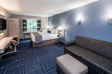 Microtel Inn & Suites - Greenville