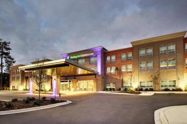 Holiday Inn Express & Suites Charleston NE Mt Pleasant US17 an IHG Hotel