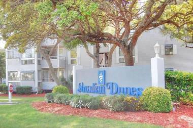 Arcadian Dunes 04-315