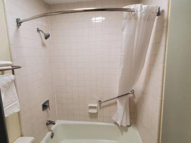 PALMETTO INN AND SUITES