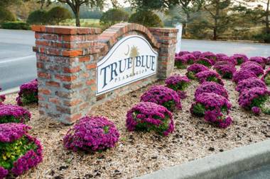 Pawleys Island Vacation Rentals llc