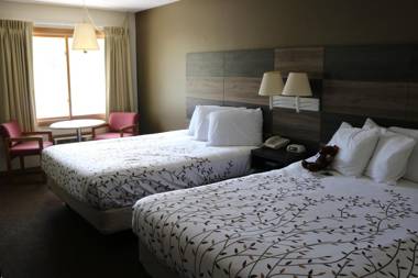 Roosevelt Inn Mount Rushmore