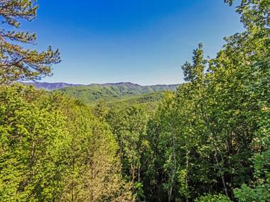 Majestic View 1 Bedroom Sleeps 2 Jetted Tub Mountain View Hot Tub