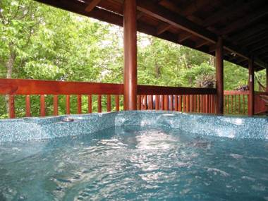 Alpine Ski Lodge 2 Bedrooms Sleeps 6 Near Ober Gatlinburg Hot Tub