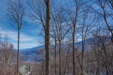 God's View 2 Bedrooms Pet Friendly Mountain View Hot Tub Sleeps 4