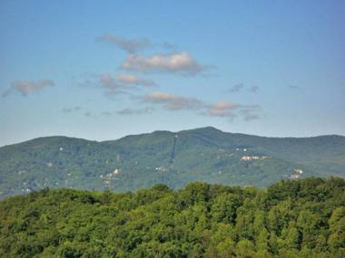 Eagles Point Lodge 4 Bedrooms Sleeps 16 View Pool Access Game Room