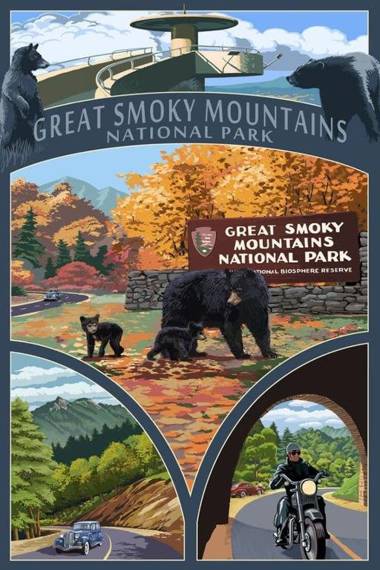 The Cave at Shady Woods - 1 Bedroom Studio - Walk to Downtown!