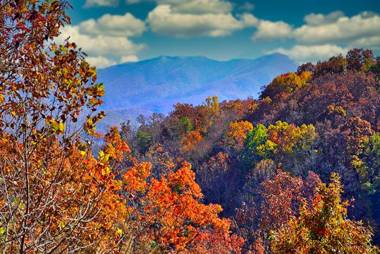 Mountain View Paradise