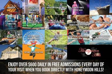 Mountain View Paradise