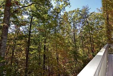 Smoky Mountain Dream