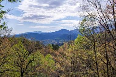 Bear View Chalet with hot tub and near Ober