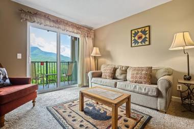 Deer Ridge Mountain Resort C106