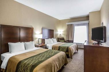 Comfort Inn South