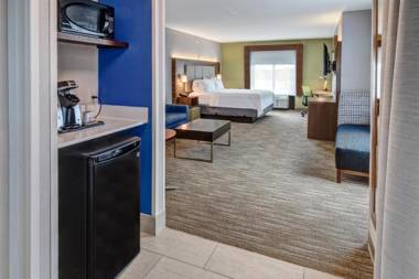 Holiday Inn Express Hotel & Suites Memphis Southwind an IHG Hotel