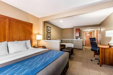Comfort Inn & Suites Airport-American Way Memphis