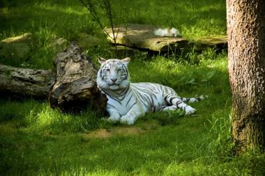 Courtyard by Marriott Nashville Airport