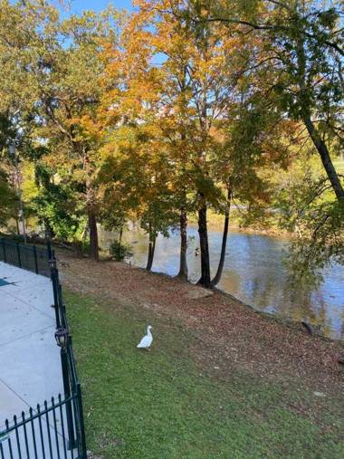 River Place Condos 209 1BR