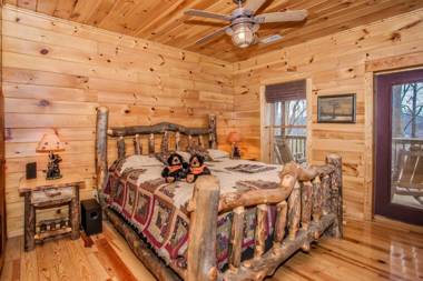 Beary Cozy