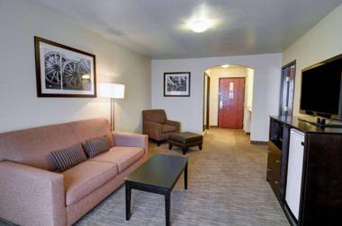 Comfort Inn and Suites Medical West