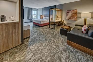 SpringHill Suites by Marriott Amarillo