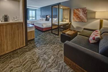 SpringHill Suites by Marriott Amarillo